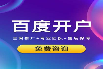 某公司通过竞价SEM优化搜索引擎排名案例